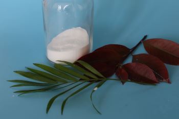 食用级轻质纯碱