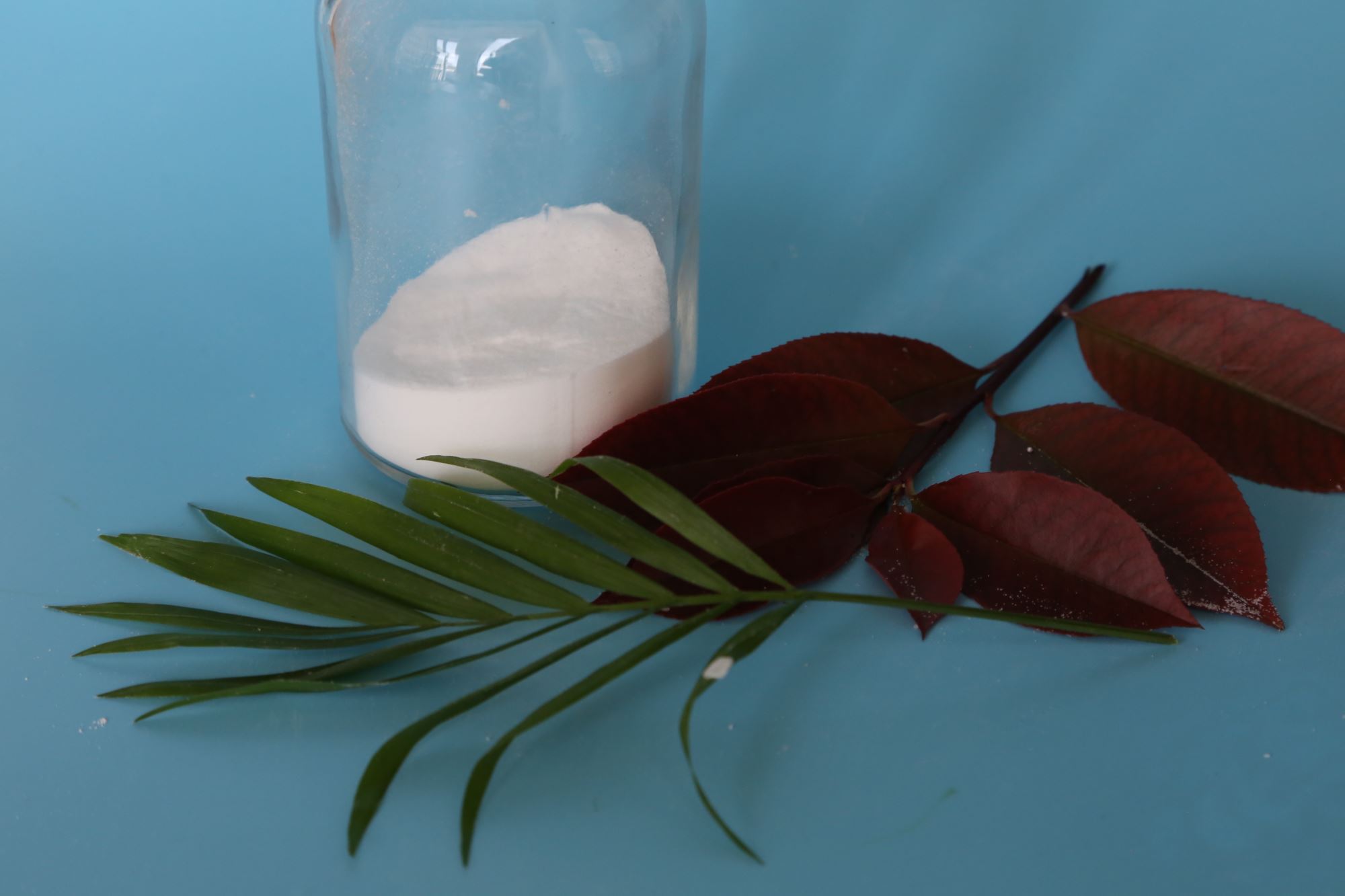 食用级轻质纯碱